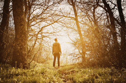 Feed you soul while walking in nature