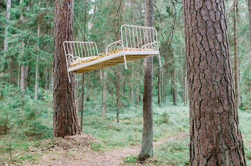 Bed tied between two trees