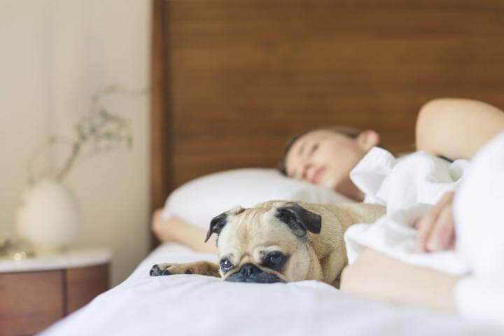 Dog and Woman Sleeping