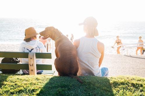 family on a beach