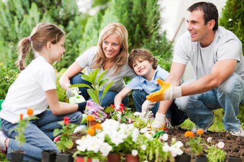 Family gardening