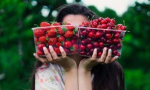 woman lifts strawberry cheery boxes stands in forest