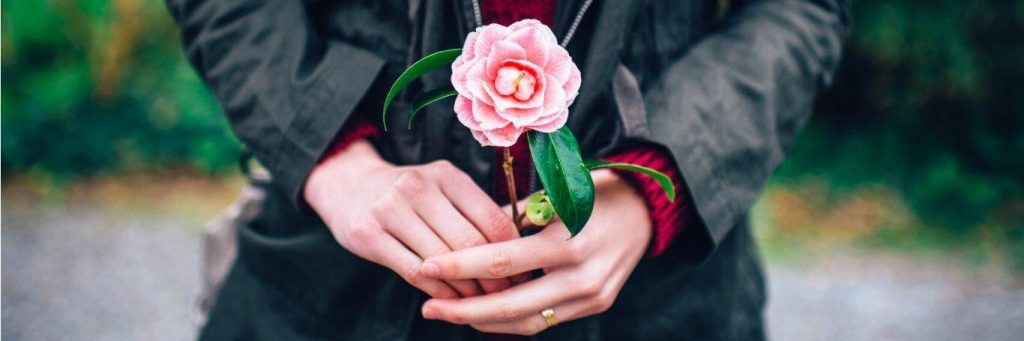 two hands holds pink flower