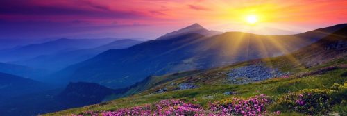 beautiful sunny colorful sky shining mountain purple flower
