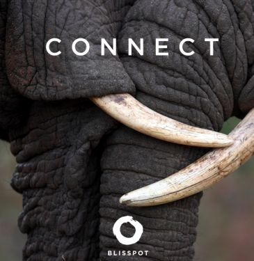 Connect