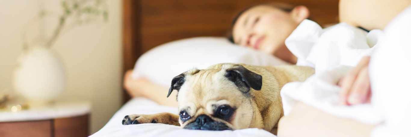 How to Practice Good Sleep Hygiene 