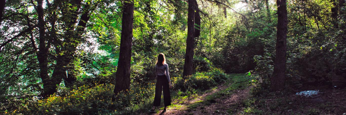 Have You Tried 'Forest Bathing'?