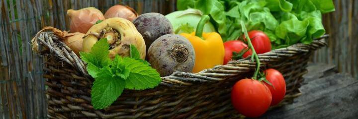 Transform Foods to Superfoods 