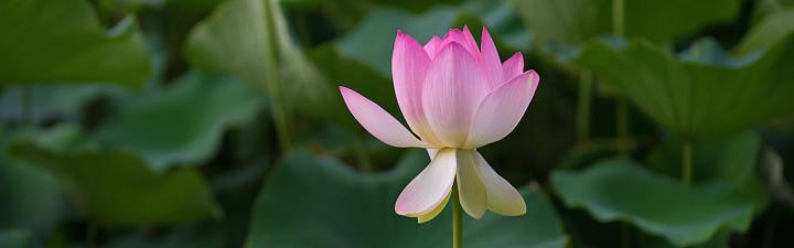 5 Steps to Loving Yourself